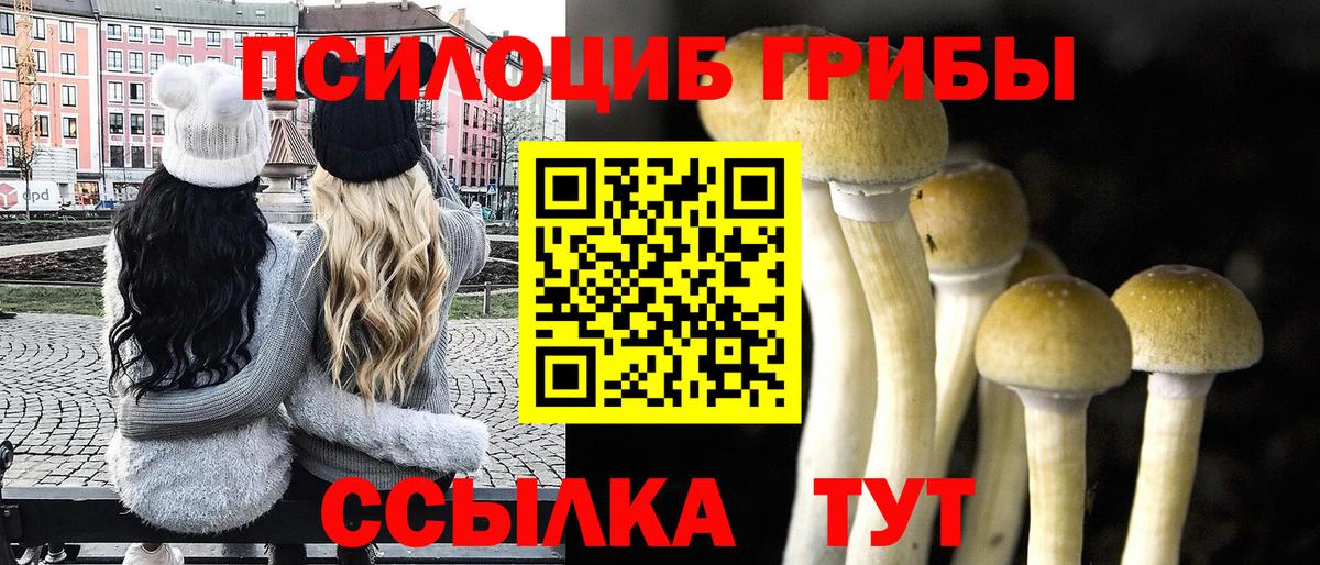 Псилоцибиновые грибы Magic Shrooms Бердск