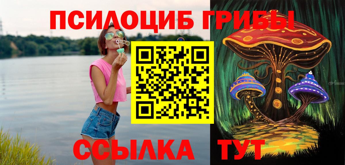 Псилоцибиновые грибы GOLDEN TEACHER  Вход с VPN  Бердск 