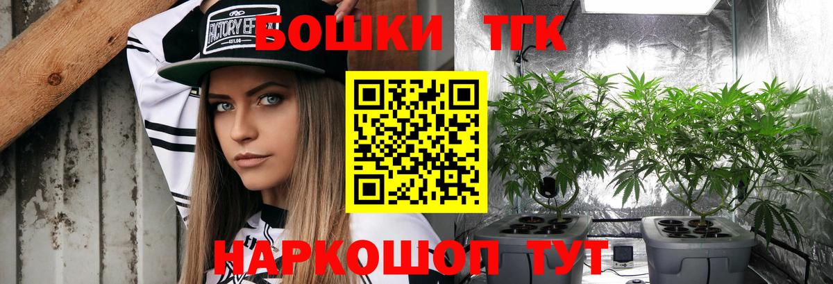 Конопля гибрид Бердск
